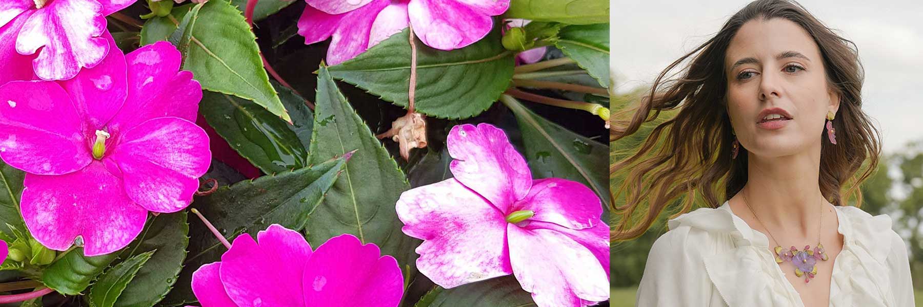 Impatiens