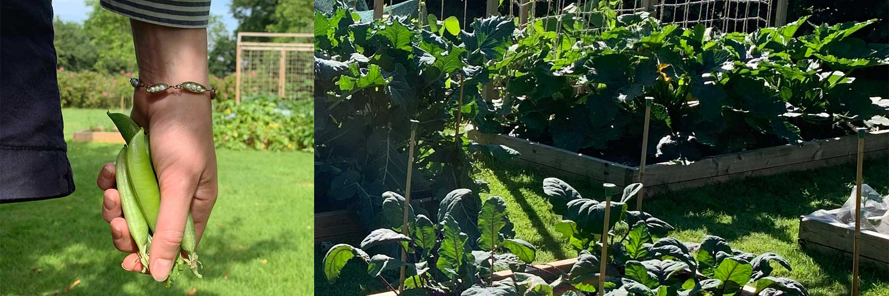 Kitchen Garden Jewellery