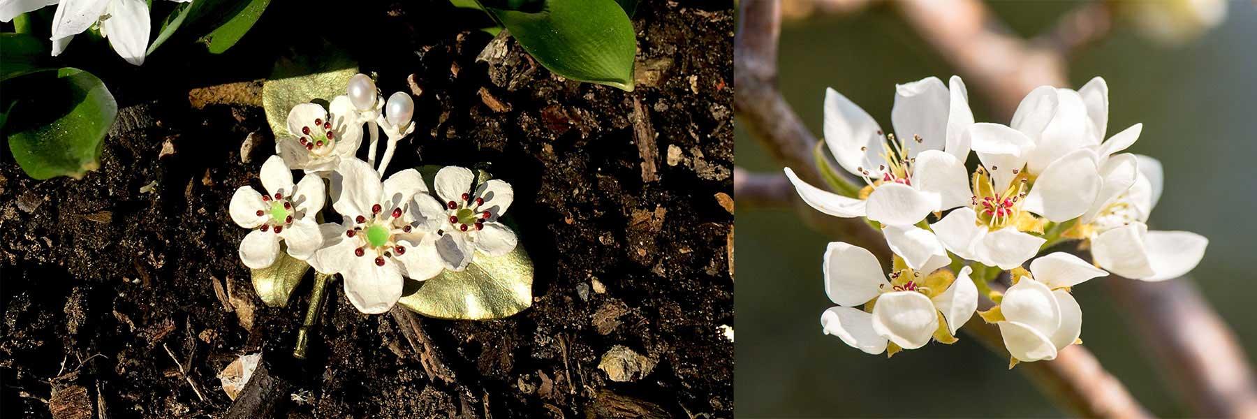 Survivor Tree (Callery Pear) Jewellery - Michael Michaud Jewellery