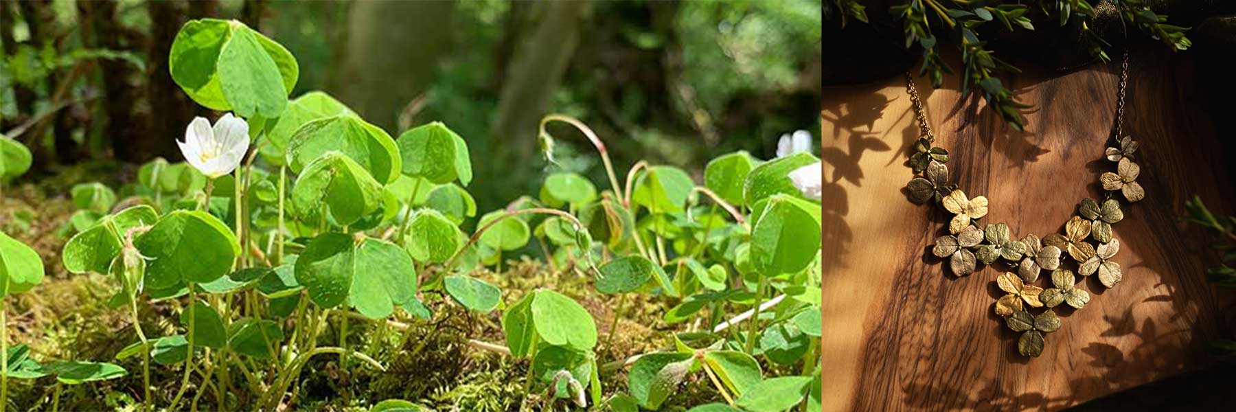 Wood Sorrel Jewellery - Michael Michaud Jewellery
