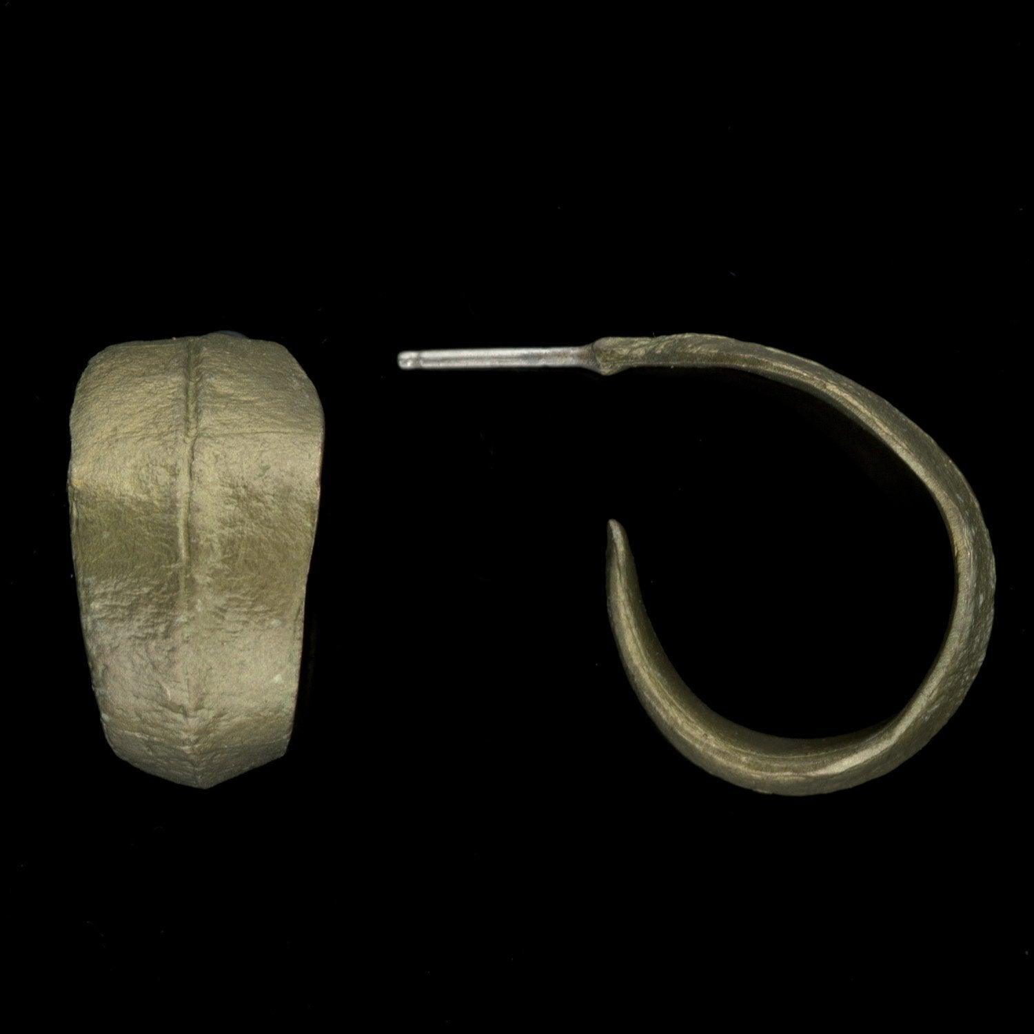 Eucalyptus Earrings - Hoop - Michael Michaud Jewellery