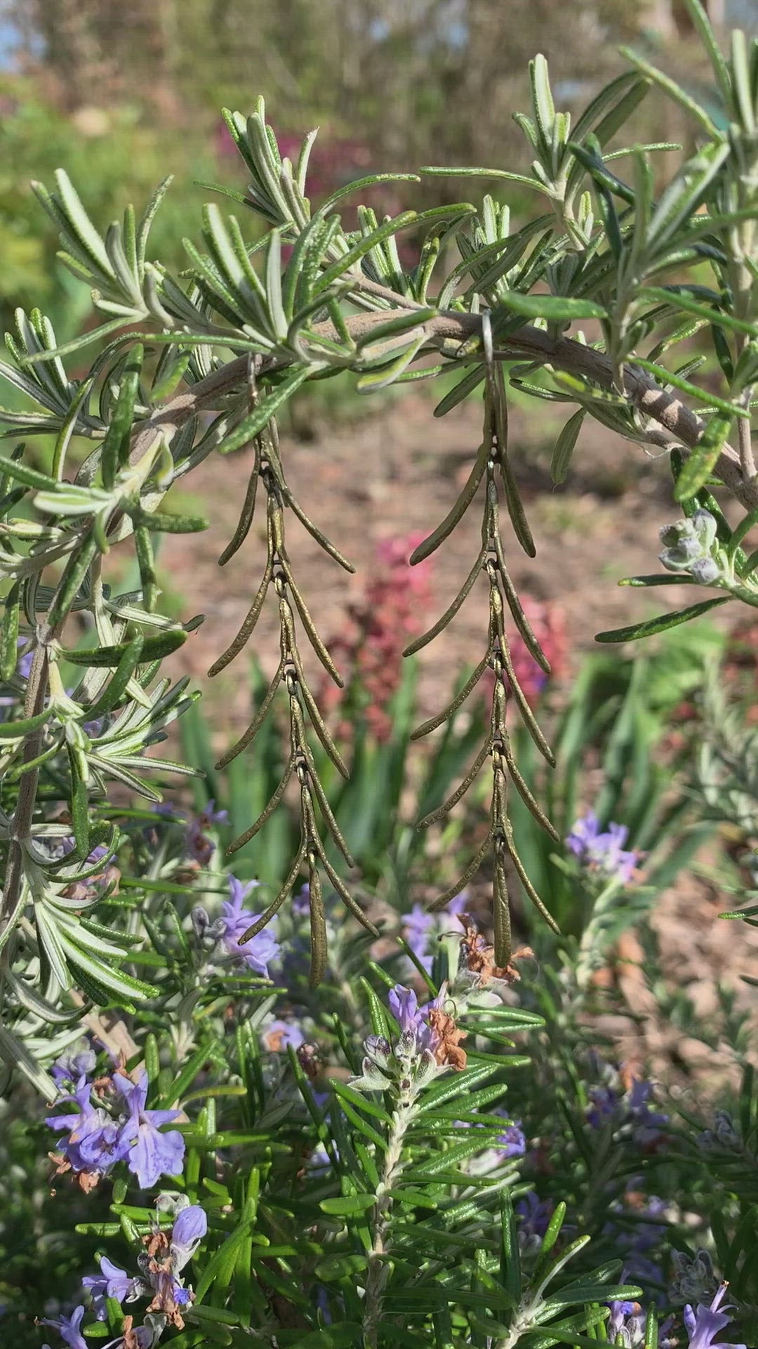 Rosemary Earrings - Long Wire Dangle