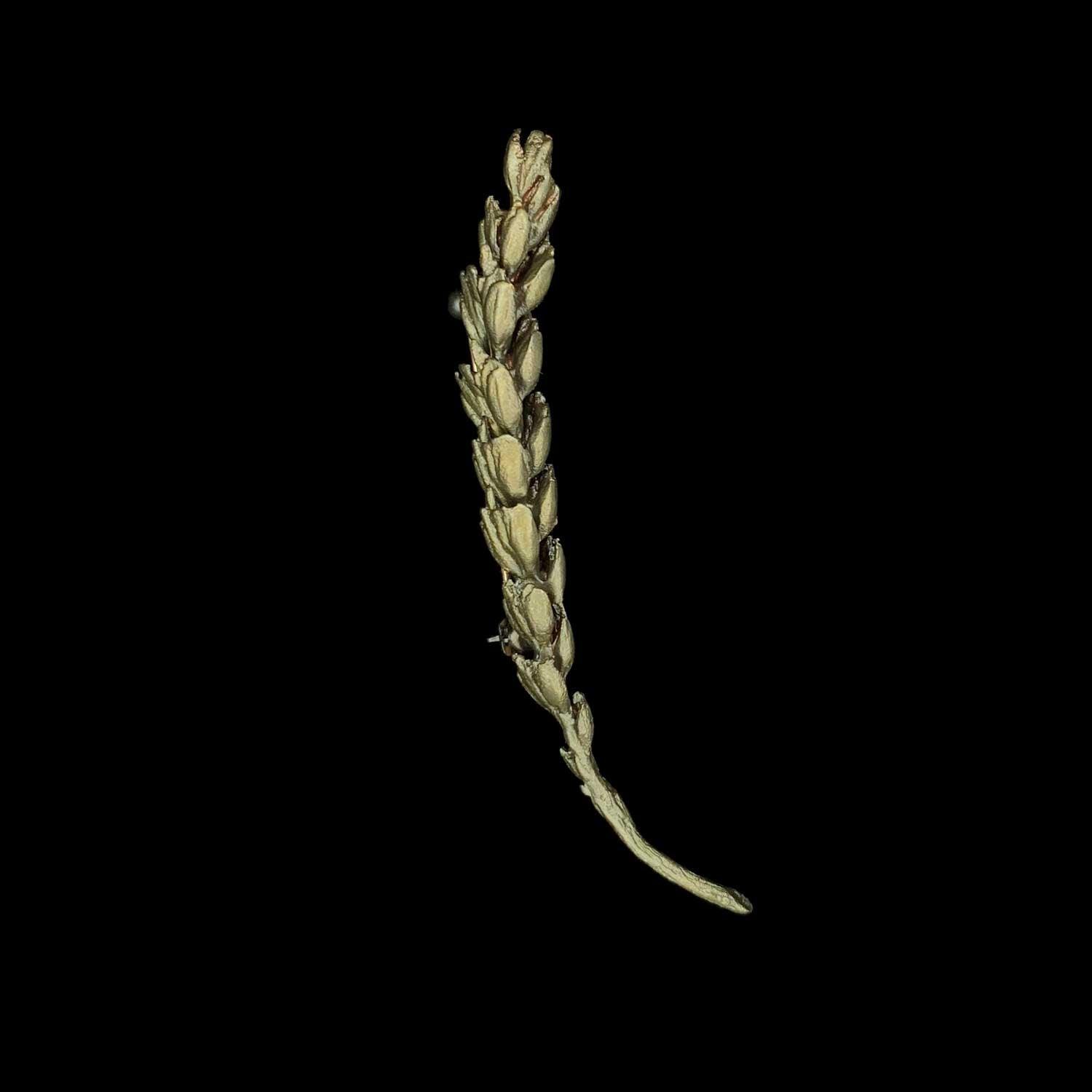 Wheat Brooch - Michael Michaud Jewellery