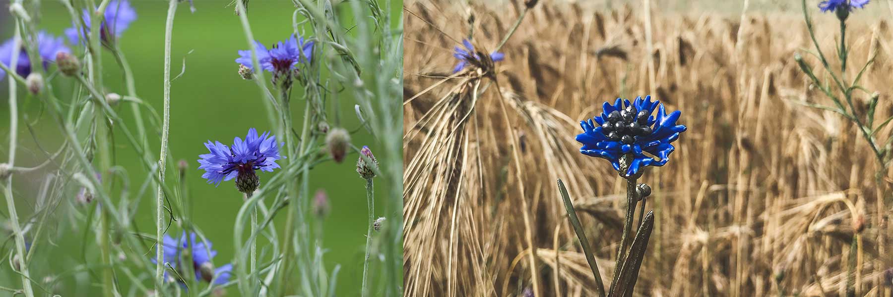 Blue Cornflowers Jewellery