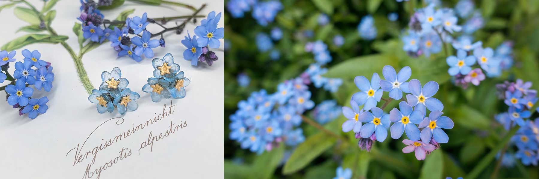 Forget Me Not Jewellery