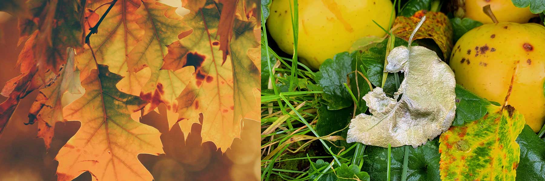 Fallen Leaves Jewellery