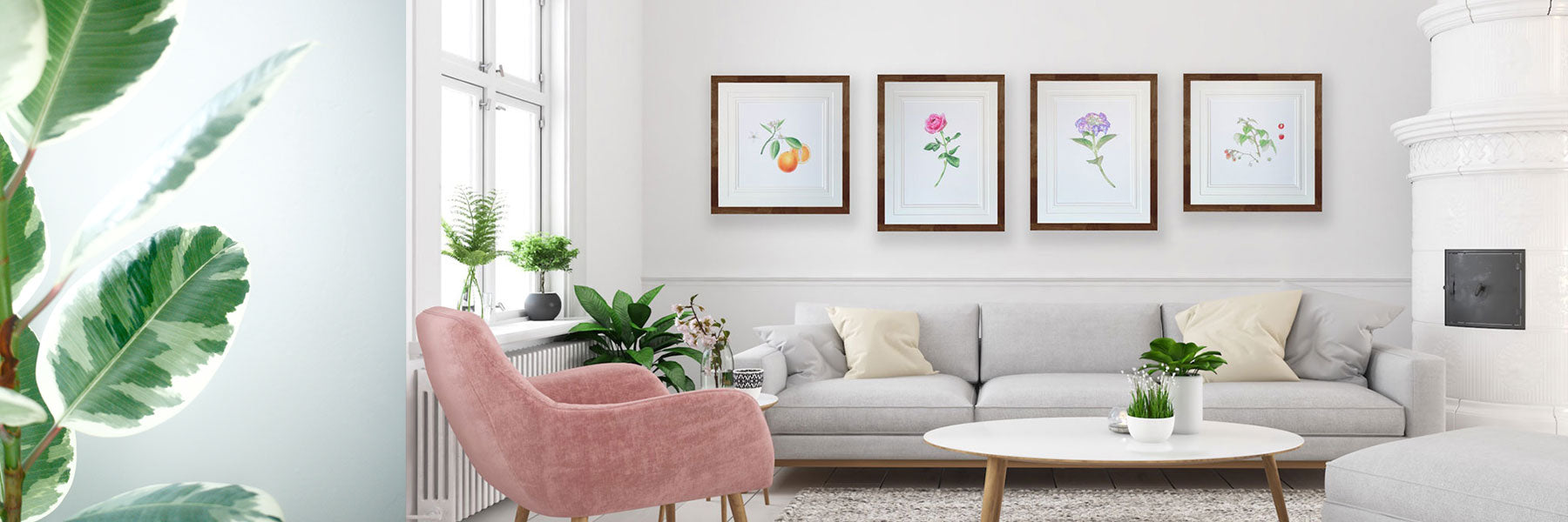 Botanical Art Prints