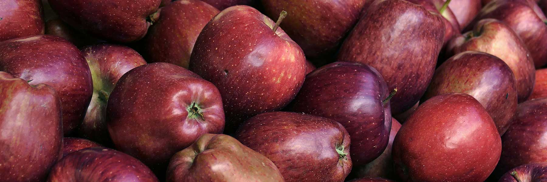 Delicious Apple Jewellery