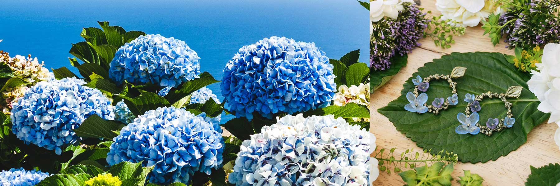 Hydrangea Teller Blue Jewellery