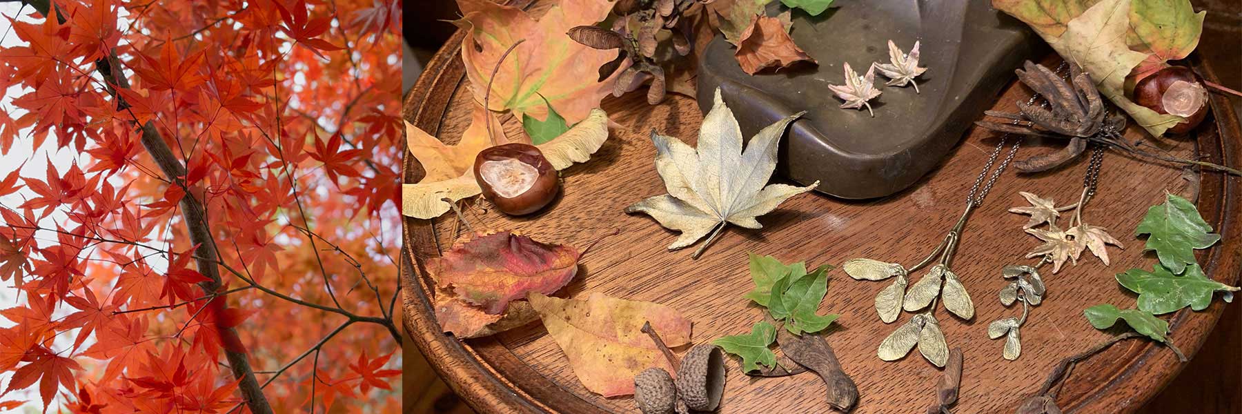 Japanese Maple Jewellery