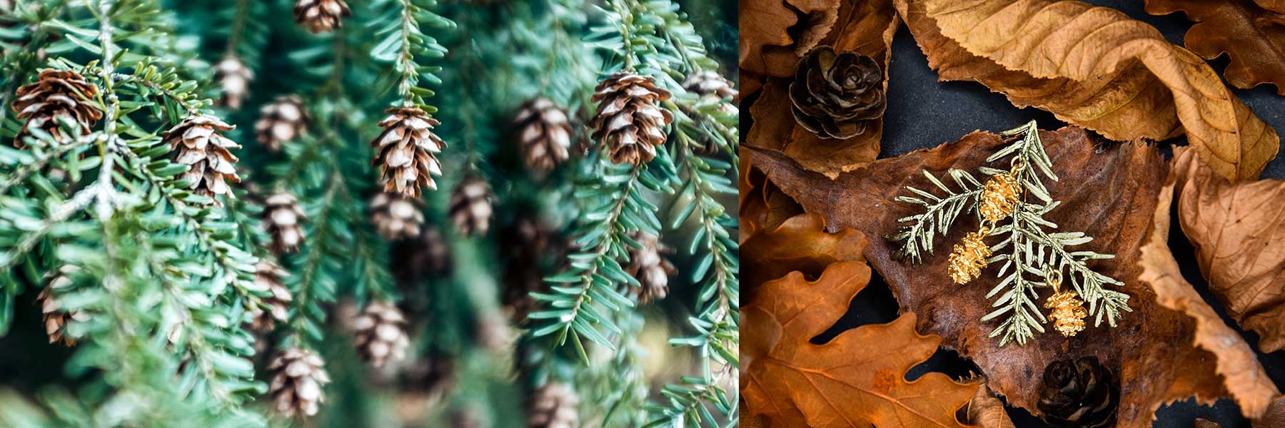 Pine Needle Jewellery