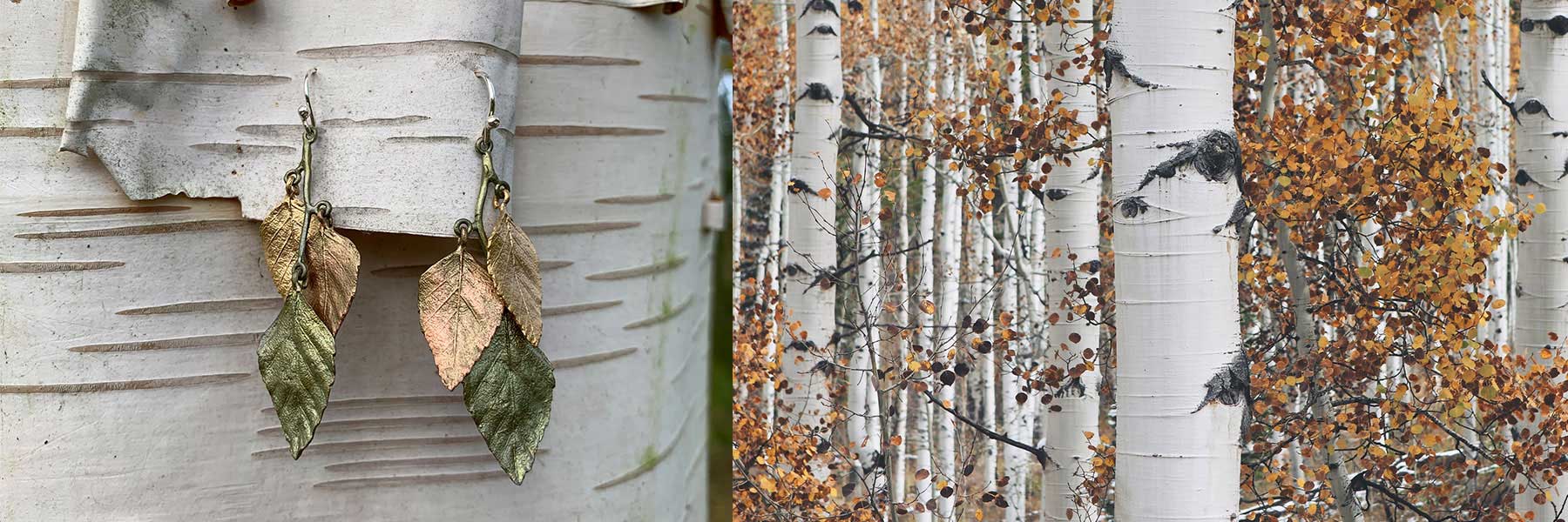 Autumn Birch Jewellery