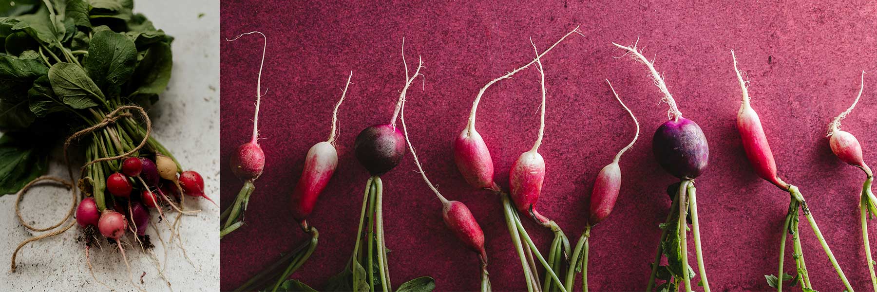 Radish