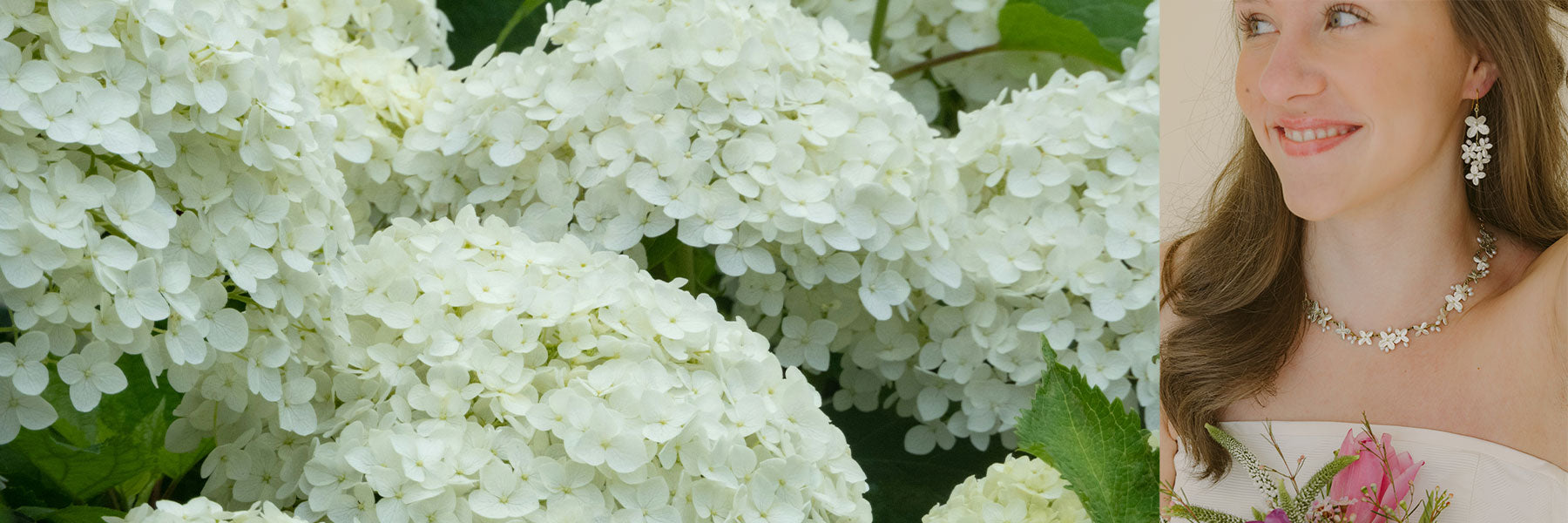 White Hydrangea