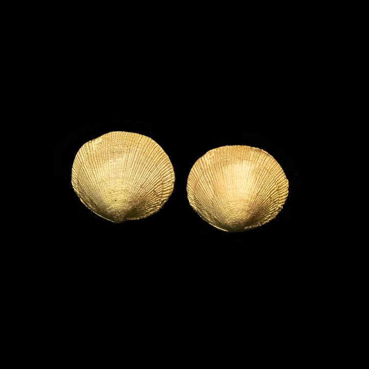 Beach Shells Cufflinks