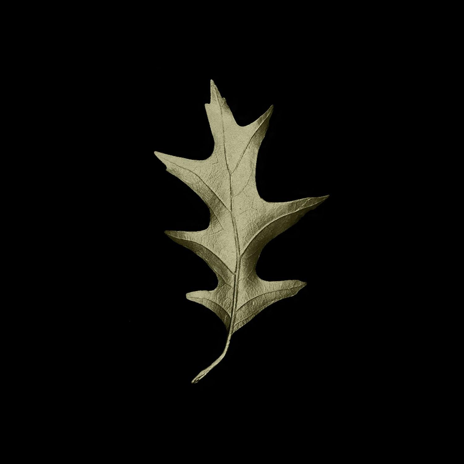 Fallen Leaves - Oak Leaf Lapel Pin - Michael Michaud Jewellery