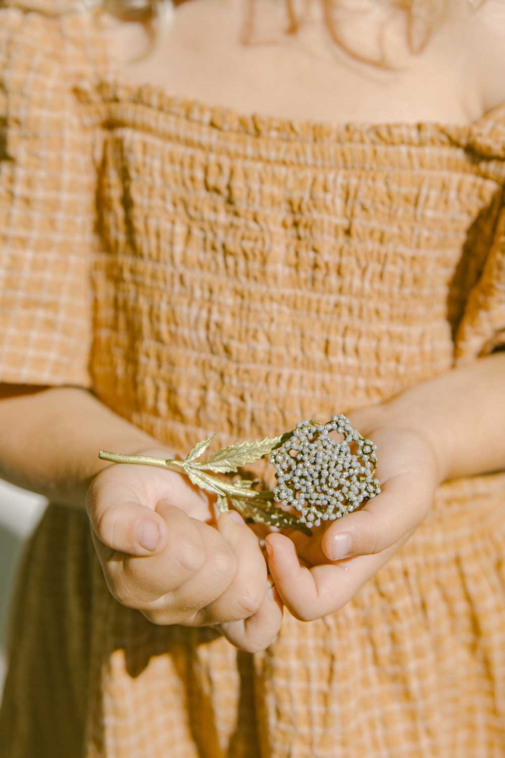 Queen Anne's Lace Brooch – Michael Michaud UK Limited
