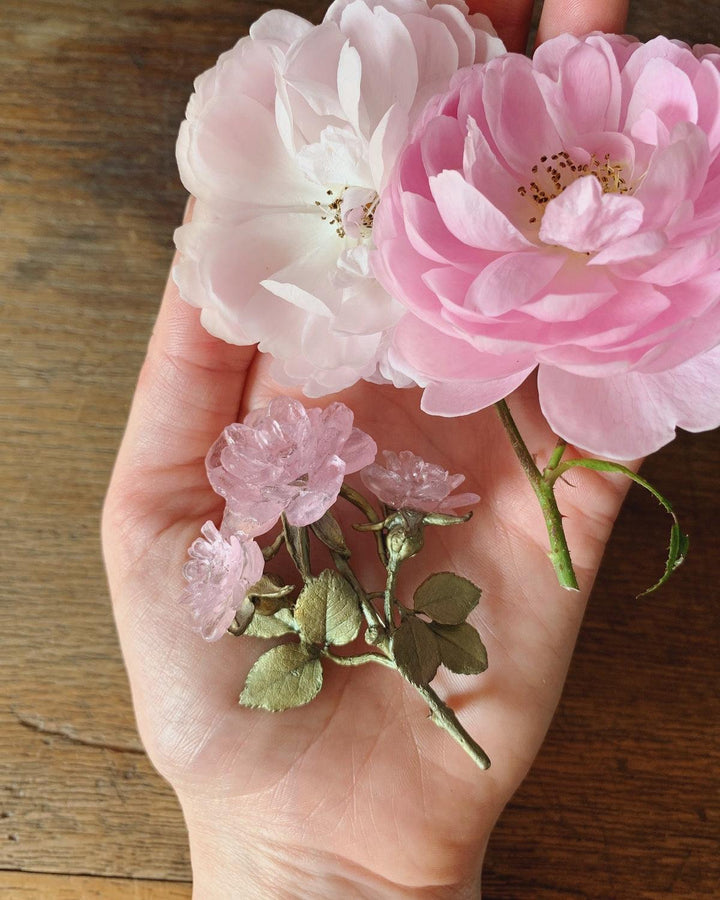 Blushing Rose Brooch - Statement - Michael Michaud Jewellery