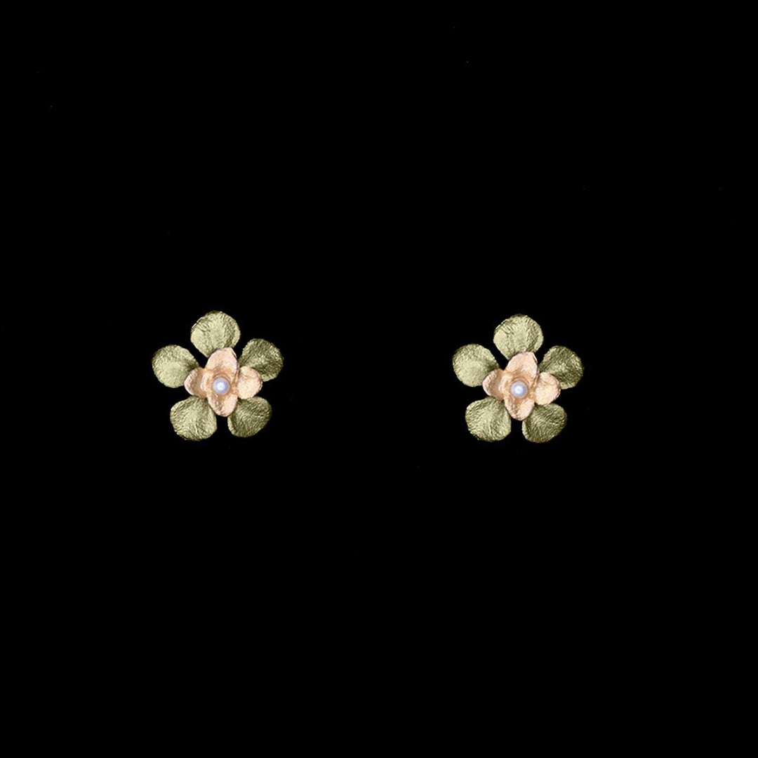 Desert Flower Earrings - Stud - Michael Michaud Jewellery