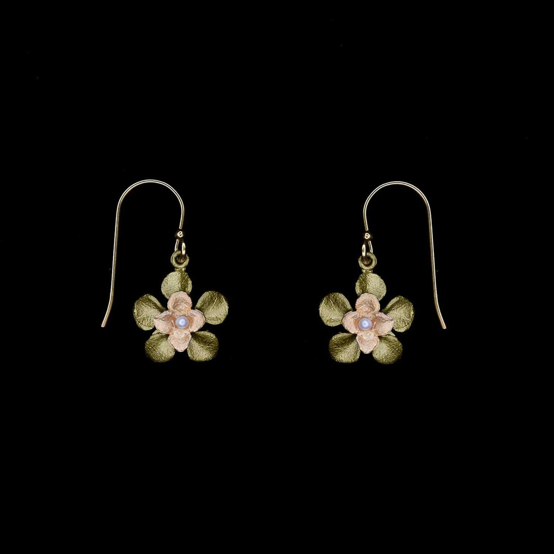 Desert Flower Earrings - Wire - Michael Michaud Jewellery