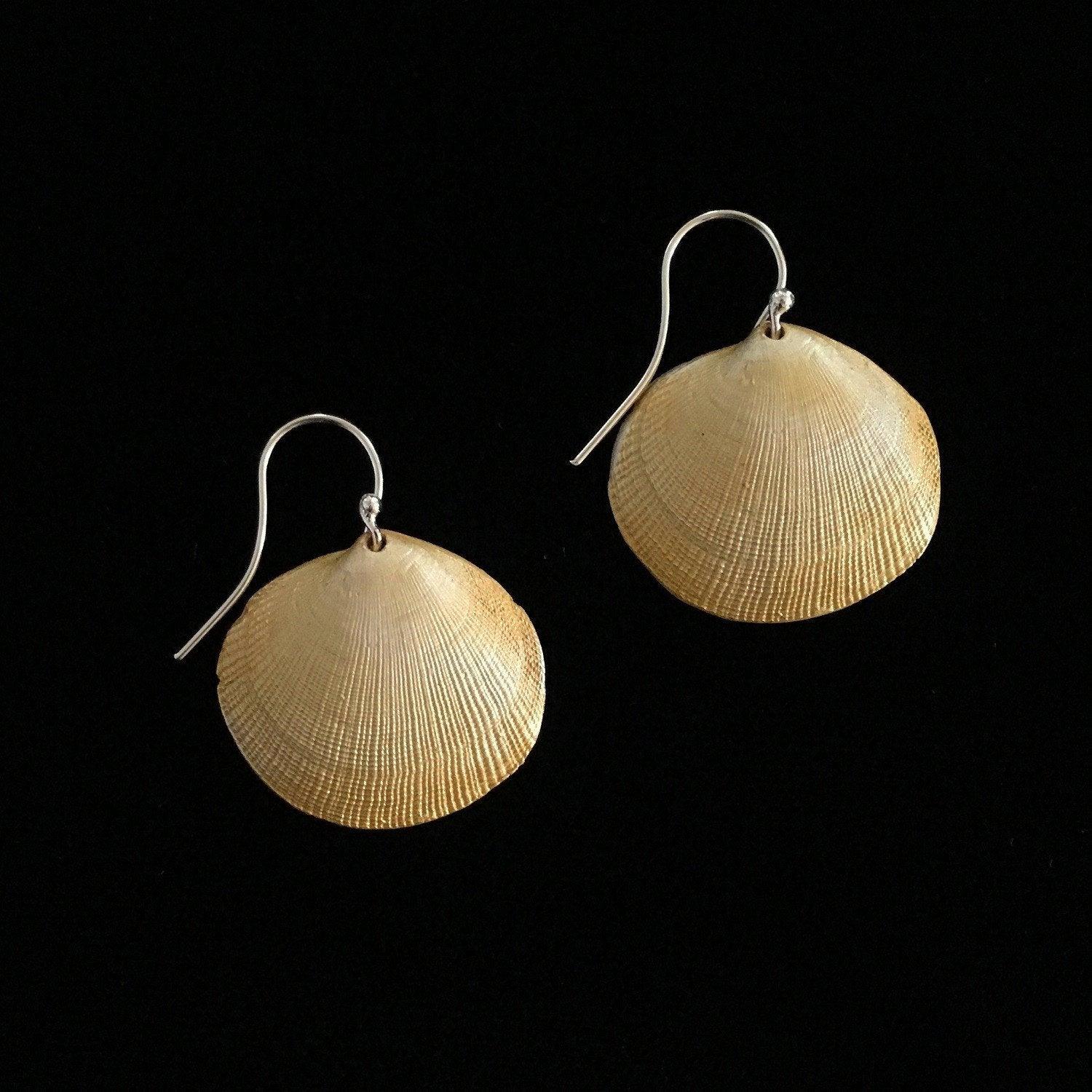 Small Beach Shells Earrings - Michael Michaud Jewellery