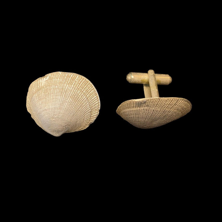 Beach Shells Cufflinks - Michael Michaud Jewellery