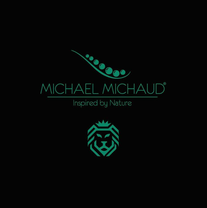 Spiral Geranium Brooch with Emerald - Michael Michaud Jewellery