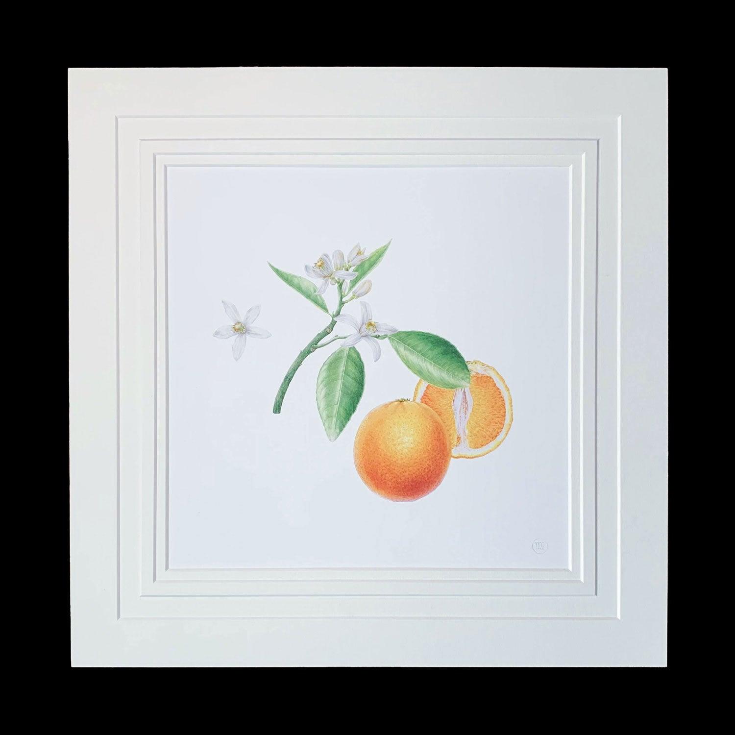 Limited Edition Print "Orange" - Michael Michaud Jewellery