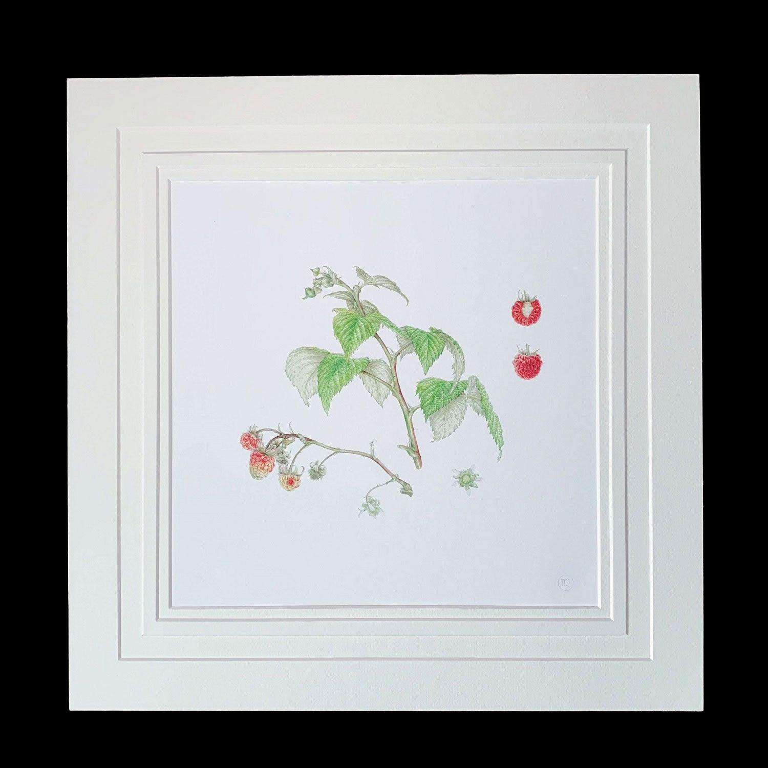 Limited Edition Print
